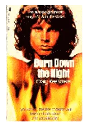 Burn Down The Night — photo 1